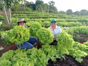 AGORA É LEI: Escolas e hospitais públicos da Paraíba terão refeições com alimentos orgânicos