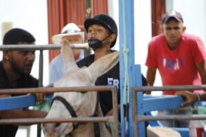 Atuação parlamentar: ALPB reconhece Corrida de Jegues de Bom Jesus como patrimônio imaterial da Paraíba