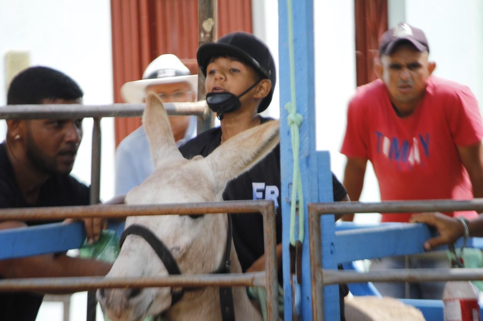 Atuação parlamentar: ALPB reconhece Corrida de Jegues de Bom Jesus como patrimônio imaterial da Paraíba